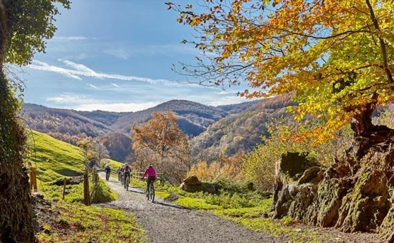 Alojamiento Rural Urgain I Y II Lekunberri Zewnętrze zdjęcie